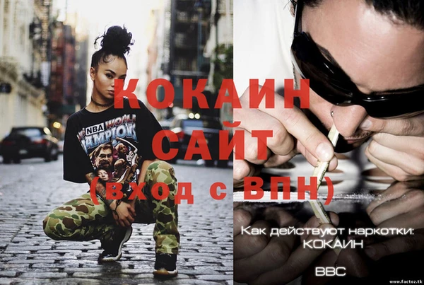 дживик Ростов