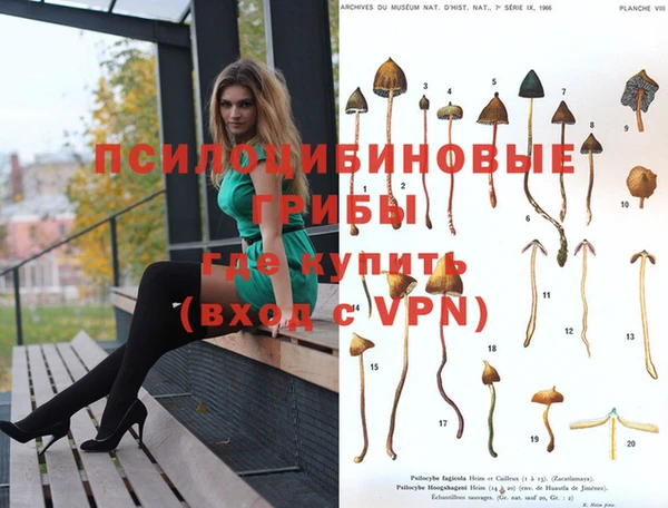 прущая мука Рославль