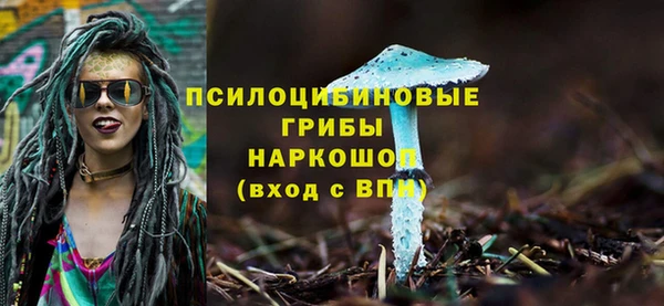 прущая мука Рославль