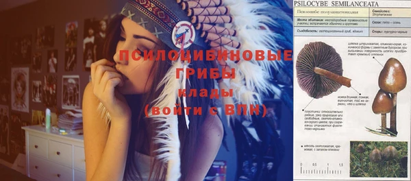прущая мука Рославль