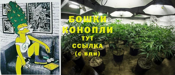 прущая мука Рославль
