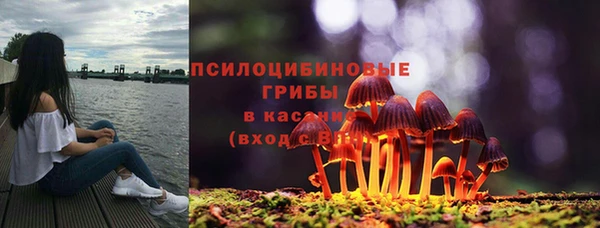 прущая мука Рославль